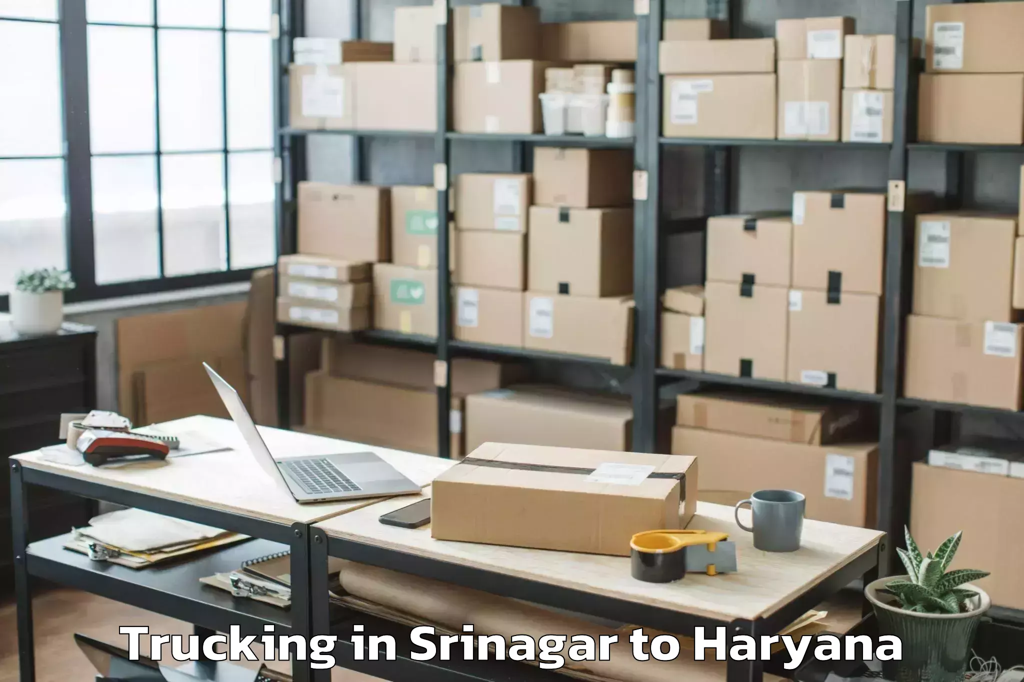 Easy Srinagar to Manesar Trucking Booking